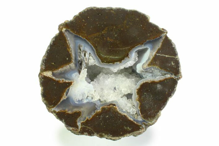 Colorful Polished Thunderegg Half - Nevada #337863